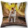 New Custom Dog Sheltie Pillowcase Cotton Linen Fabric Square Zipper Pillowcase 45X45cm Wedding Decorative Pillow Cover
