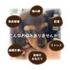 Mochico Dog Coffee Tree Dog Chew Toy Wood L Size Additive-Free 100% Natural Dental Care Chew Tree Chewing Toy Caffeine Free