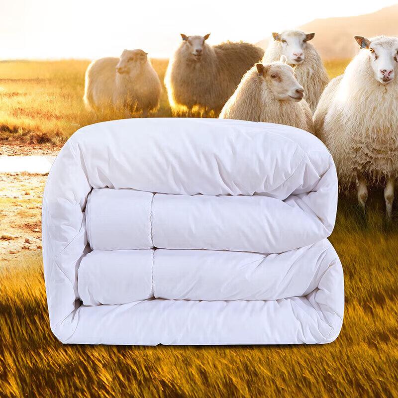 FUANNA Winter New Zealand Wool Blend Quilt