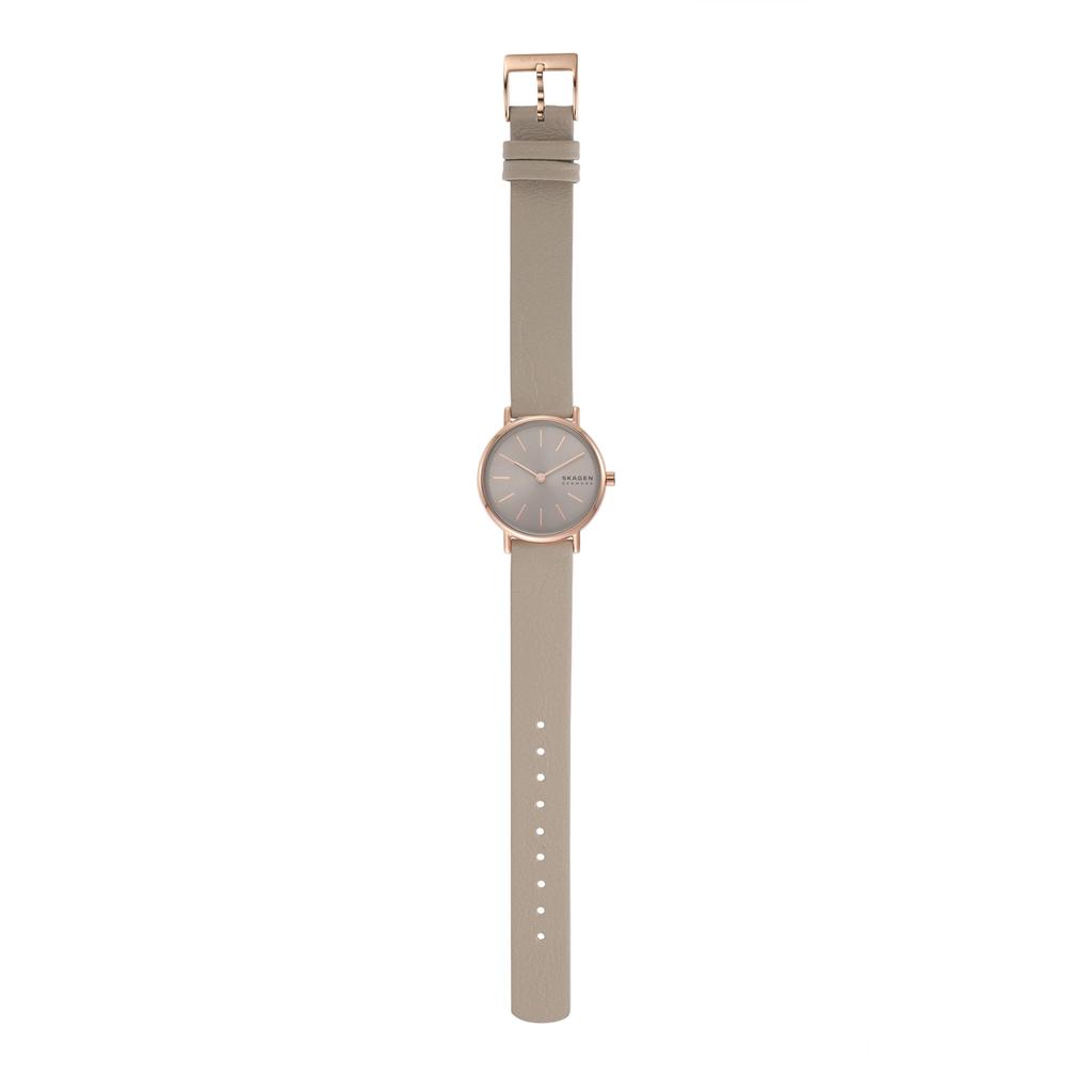 SIGNATUR LILLE SKW3060 Gray [Skagen] Women's Watch,