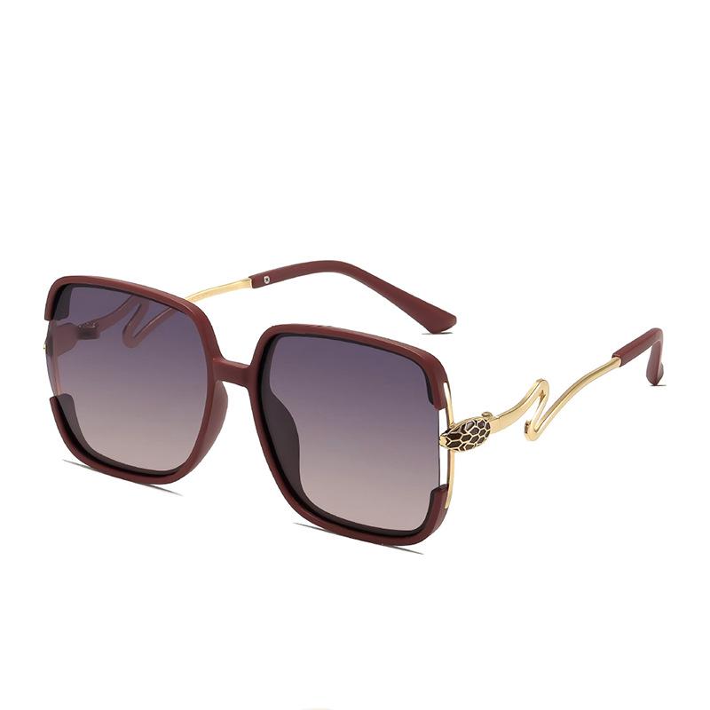 Women's Retro Polarized Sunglasses with Large Square Frame and Unique Snake-Shaped Temples - Simple and Fashionable.