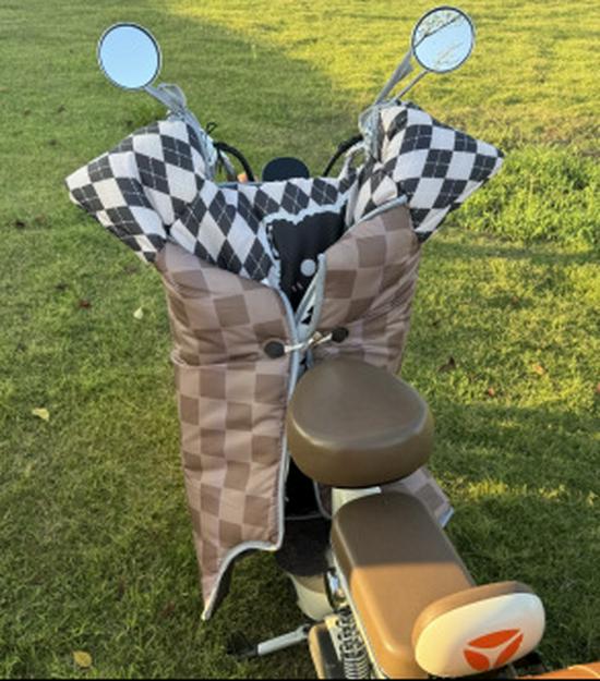 Electric Vehicle Winter Windshield: Flannel Cartoon Style, Fleece-Lined, Thickened, Enlarged for Maximum Warmth (2025 Model)