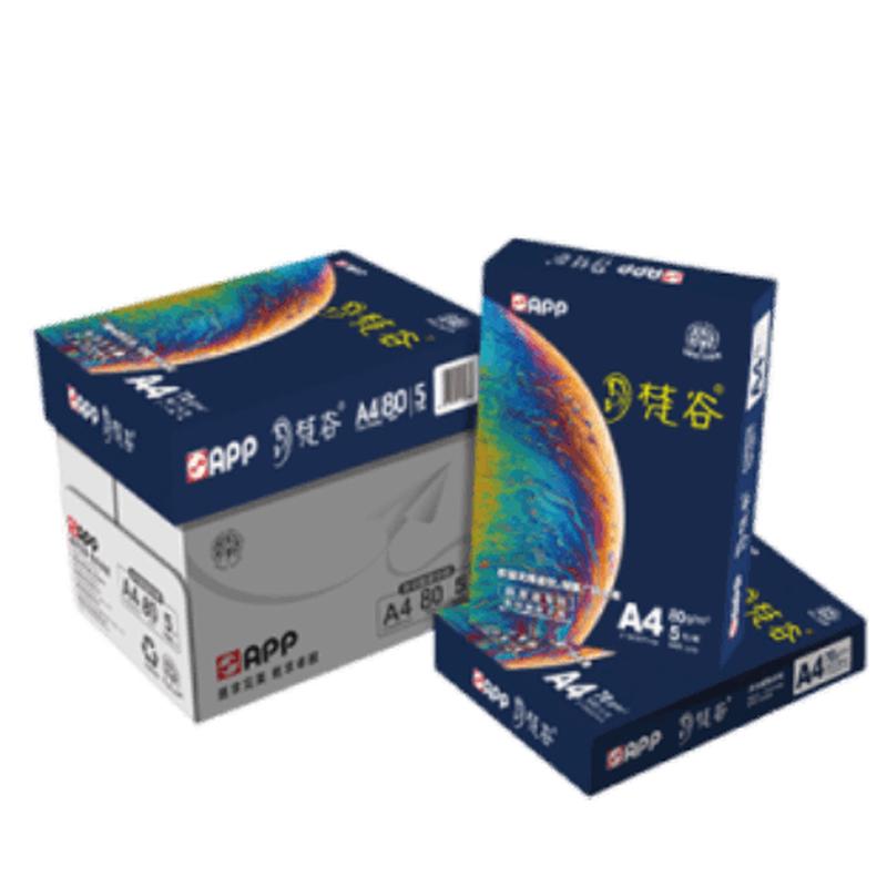 APP Van Gogh A4 80gsm Double-Sided Copy Paper A4, 5 Packs (2500 Sheets)