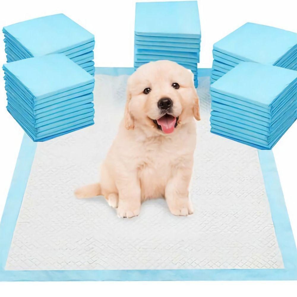 puppy floor mat