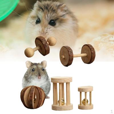 5 Pieces/ Pieces Small Animal Hamster Toys Set Roller Guinea Groundhog Rodents Bunnies Training