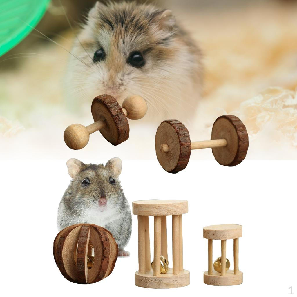 5 Pieces/ Pieces Small Animal Hamster Toys Set Roller Guinea Groundhog Rodents Bunnies Training A