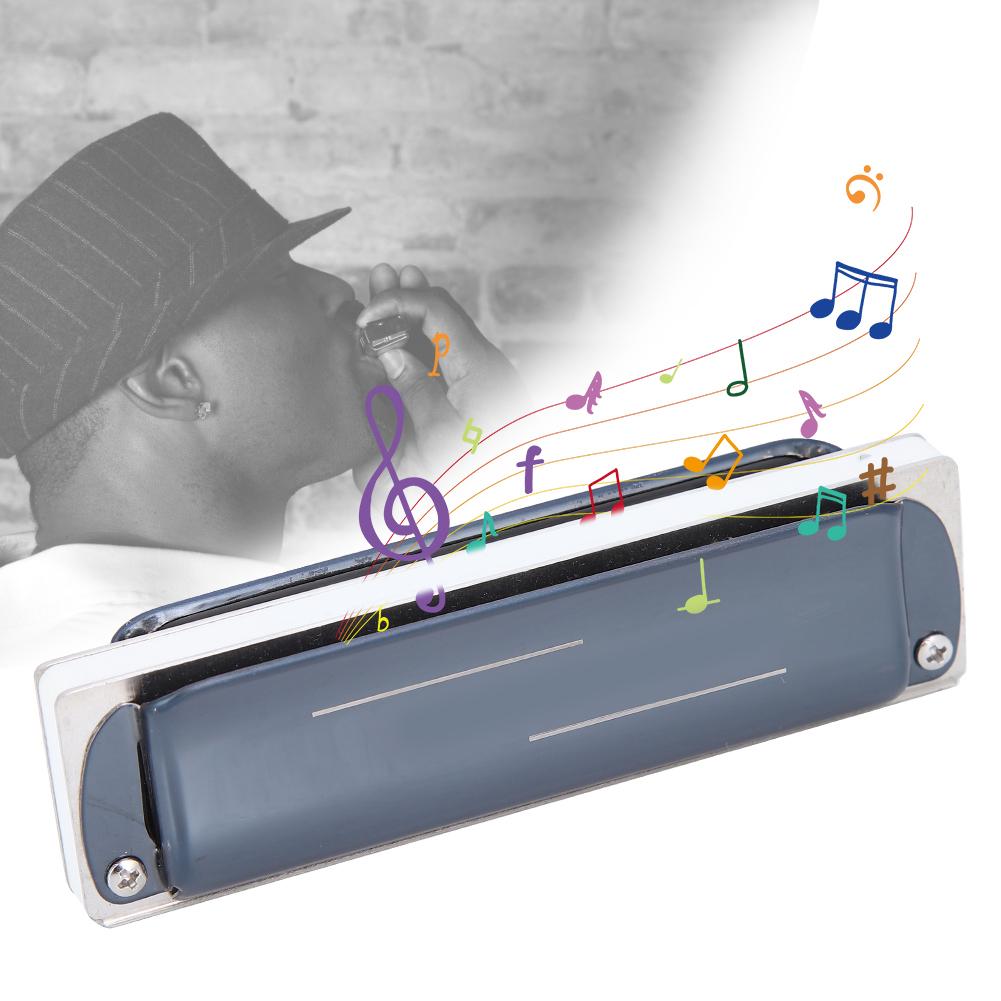 Blues Harp Mundharmonika 10-;Loch Professionelles Mundharmonika G-Ton Geschenke Edelstahlabdeckung(blau )
