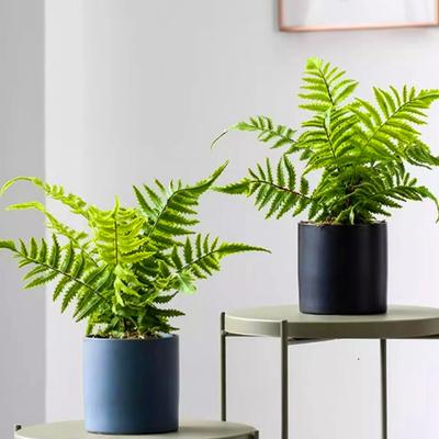 Woondecoratie – Decoratieve bloemen en kransen