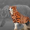 DELIFUR Dog Tiger Costume - Dog Funny Costume Hooded Halloween Cosplay Funny Costume for Small Medium Dogs Pet Special Events Photo Props Accessories