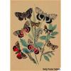 Retro Schmetterlings-Illustrationsposter: Handbemalte Tier-Wandkunst im Vintage-Stil, europäisch & amerikanisch