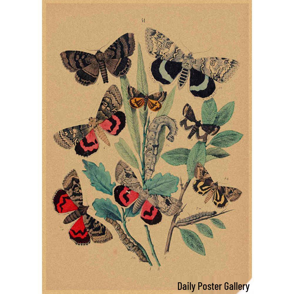 Retro Schmetterlings-Illustrationsposter: Handbemalte Tier-Wandkunst im Vintage-Stil, europäisch & amerikanisch