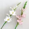Künstliche Gladiolenblumen 22" Real Touch Blume mit langem Stiel 4 volle Blüten und 1 Knospe Gefälschte Orchidee für Vase
