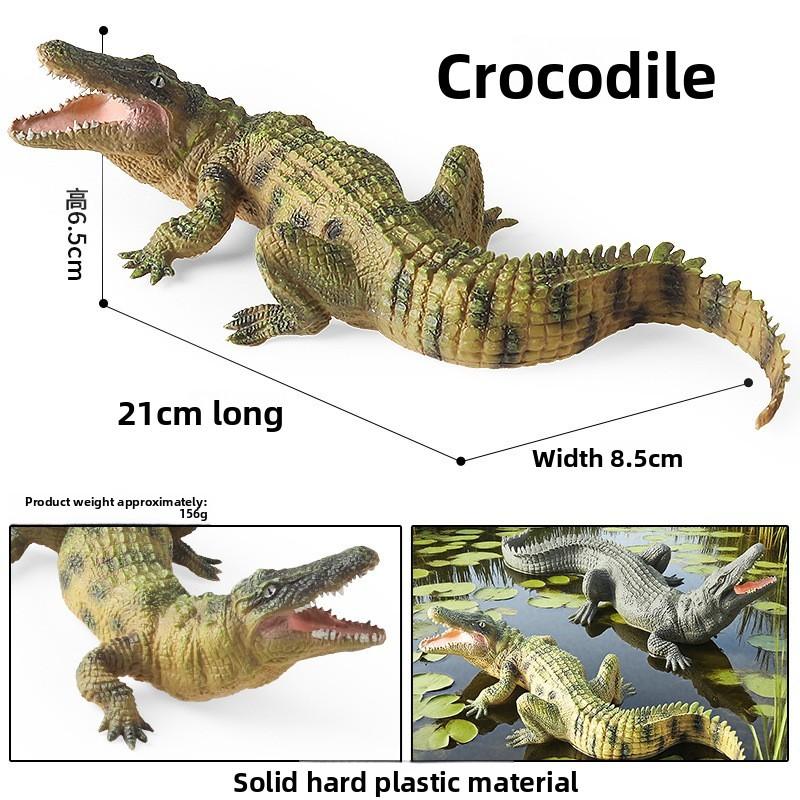 Snake Amphibian Animal Crocodile Toy Model For Kids Educational And Display Use