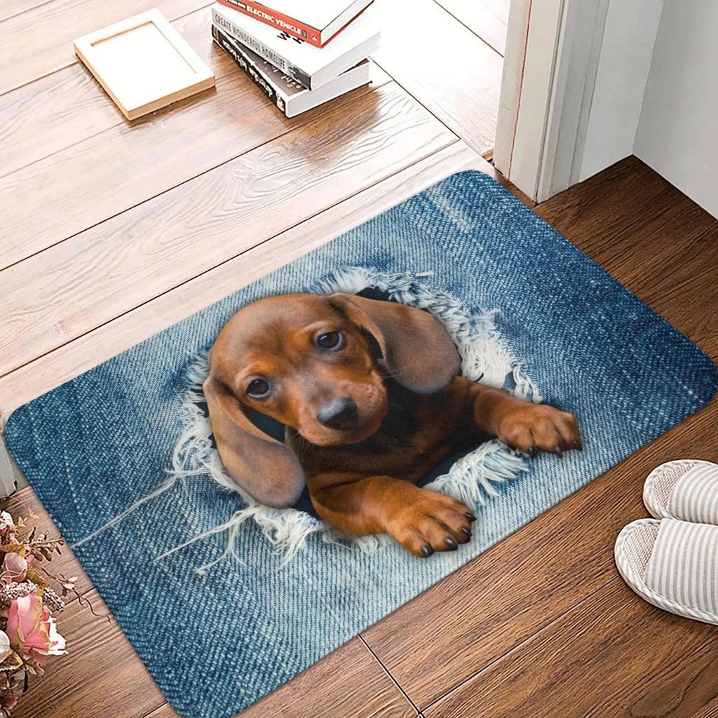 Modern and Fun Dachshund Patterns DoorMat, Non-slip Carpet, Suitable for Living Room, Bedroom, Bathroom, Holiday Home Decoration