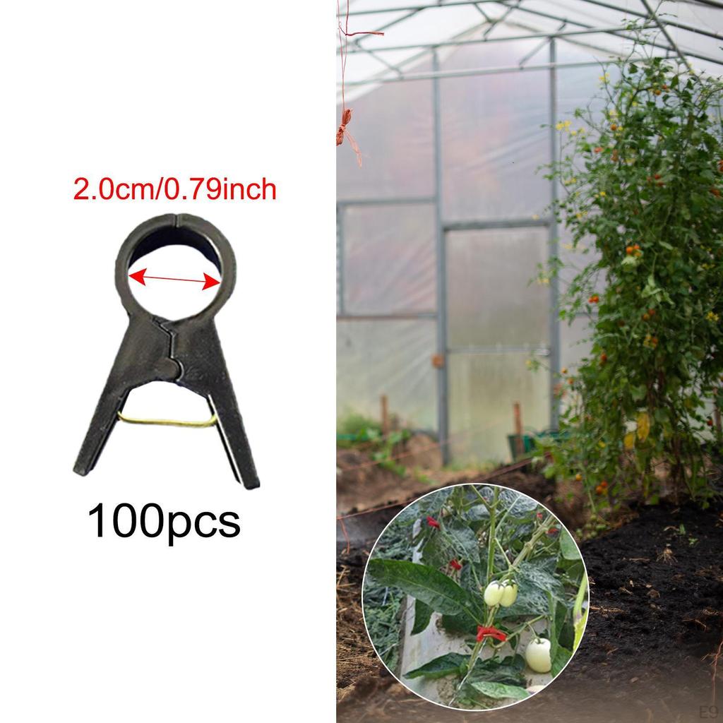 Plant Support Clips for Vertical Gardening