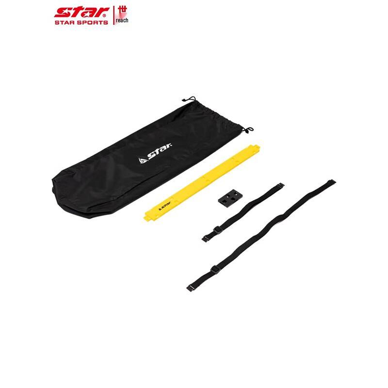 Agility Training Ladder