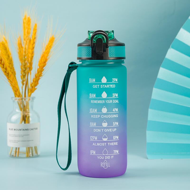 BPA Free Frosted Gradient Water Bottle with Straw – Portable Bounce Cup for Students