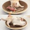 Round Cat Scratcher Cat Cardboard Scratch Mat Pad Bowl Thick Lounge Bed Sofa For Cats Kittens Cat Scratcher Bowls Furniture
