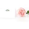 UrbanMingle 25 Elegant Greenery Tent Table Place Cards for Wedding Thanksgiving
