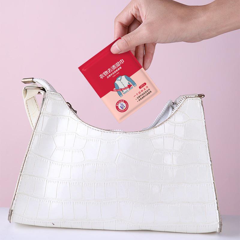 Lingettes Détachantes Portables Sans Rinçage pour Vêtements en Duvet - 20 Lingettes pour le Nettoyage d'Urgence des Taches sur les Vêtements