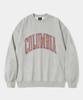 COLUMBIA UNIVERSITY Vtg Big Crack Heavy Terry Crew Neck_M.Gray