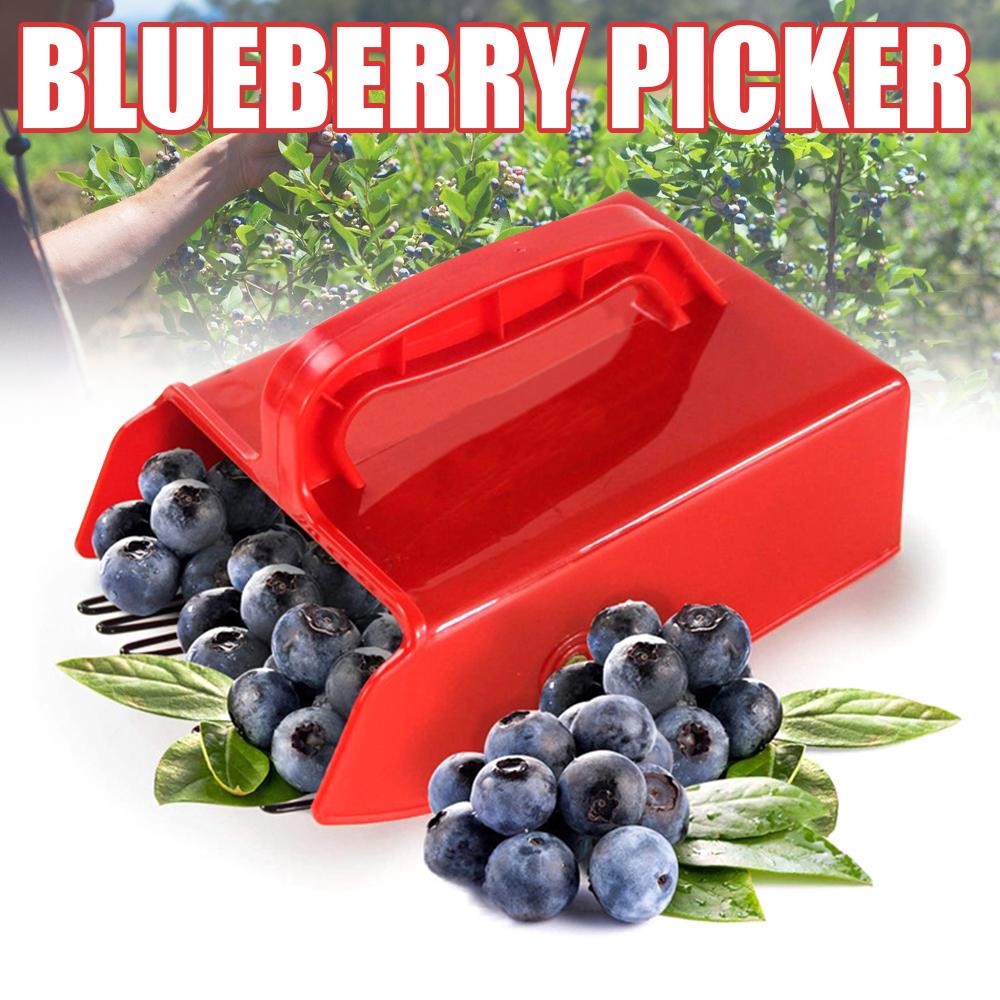 Colhedor de Frutas Vermelhas Portátil Coleta de Mirtilos Ferramenta de Colheita com Alça Conveniente Estufa Jardim Fazenda Colheitadeira de Frutas com Pente