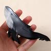 Acrylic Whale Hair Clip Elegant Whale Hair Clamp Multifuntional Hairstyle Accessory Suitable for Wedding and Party