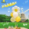 Anshairui Daisy Balloon Table Centerpiece