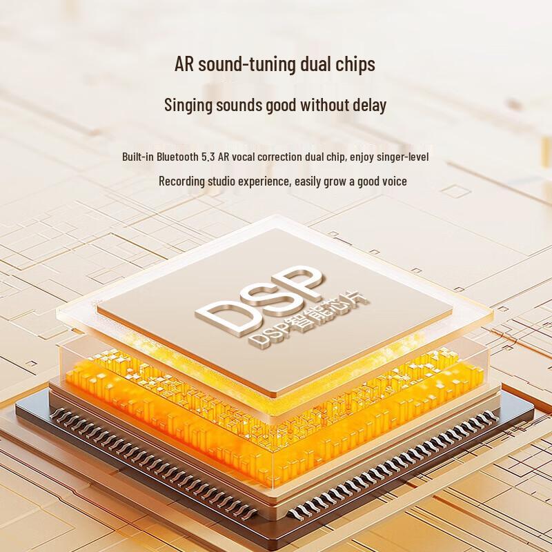 Newman MC76 Wireless Home KTV Audio System