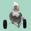 Plastic Parrot Balance Bike Toy Lightweight Birds Intelligence Toy  Cage Accessory
