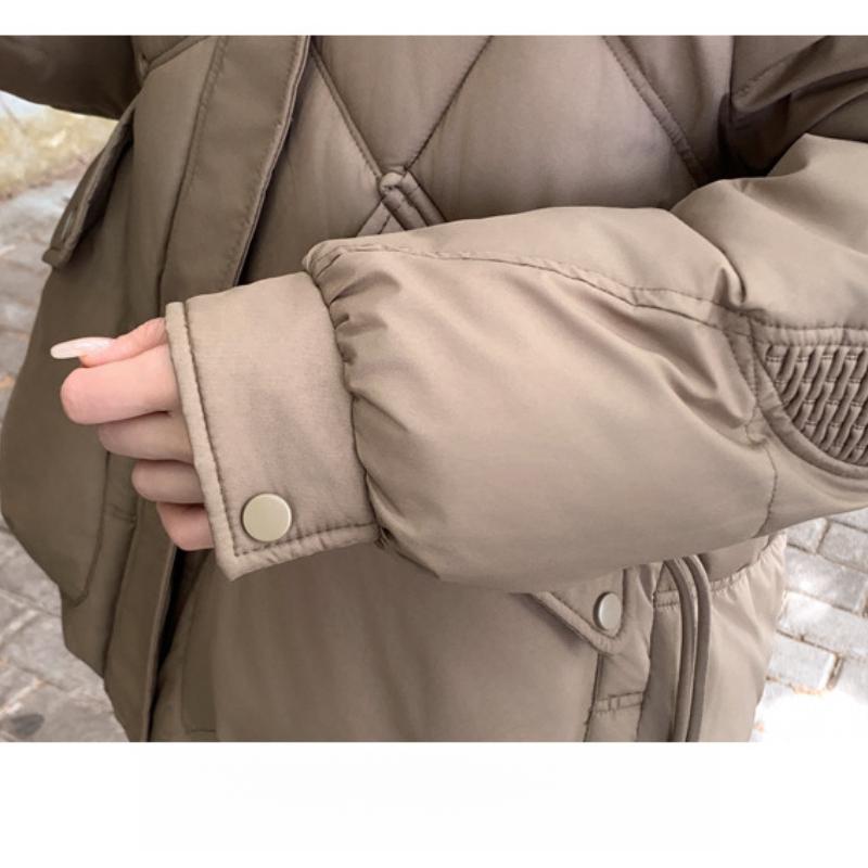 Veste Courte en Coton Duveté pour Femmes Hiver Nouvelle Mode Élégante Petite Taille à Capuche Manteau en Coton Épaissi