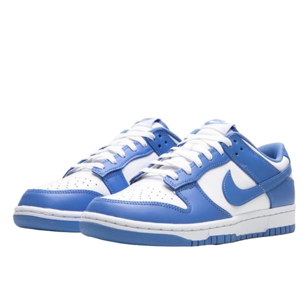 Nike Dunk Low Polar Blue