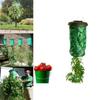 Sturdy Hanging Planter Bag For Tomatoes Strawberries Balcony And Home Gardening
