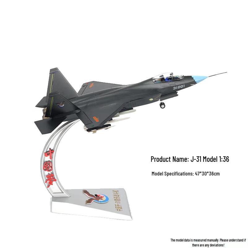 SPSR J-31 Fighter Jet Model 2