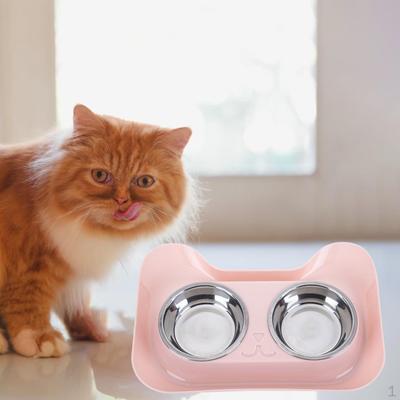 Perros – Proveedores de agua y alimento