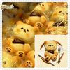 Cute Bear Slow Rising  Bread Soft Realistic Baked Look Squeeze Toy For Adult Work Anxiety Relief Gift