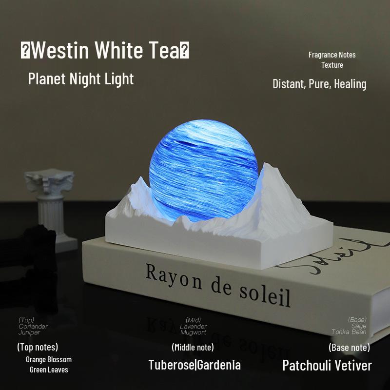 Moon Valley Aroma Diffuser: Elegant Bedroom Night Light & Fragrance Gift for Girls