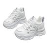 Daddy shoes girl 2025 new popular factory small white shoes heightened soft sole casual versatile women's shoes