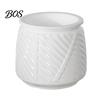 Modern Decorative Flower Container Self Watering Planter with Wick Rope for Indoor Plants, Double Layer Office Green Plant Holder Transparent