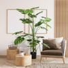 180 Cm Artificial Plant, with Planter, Artificial Moss, Indoor Plant for Living Room, Realistic Look, Green