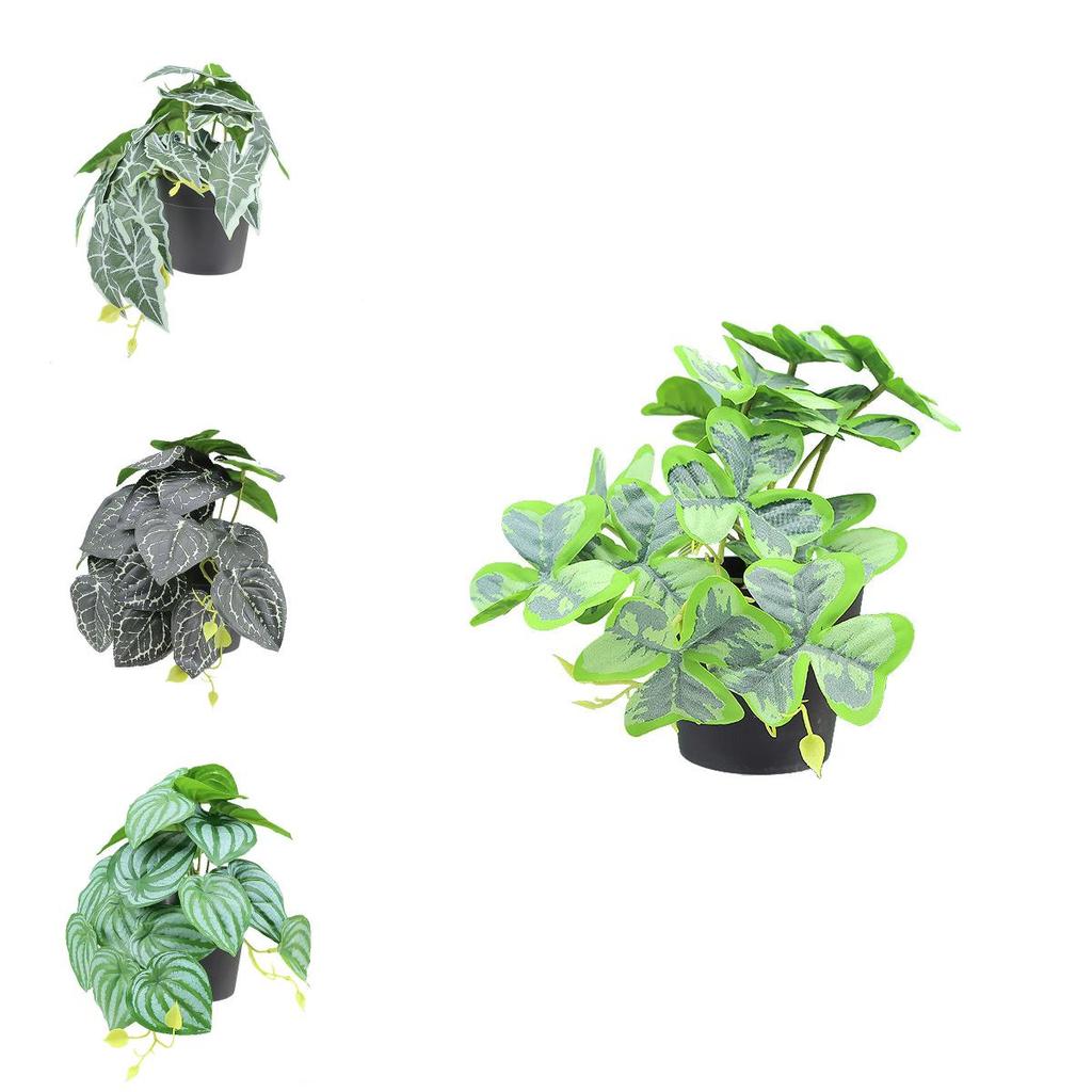 Sztuczna roślina wisząca Goeppertia Makoyana o miękkiej gumowej fakturze do domowego projektu zielonej ściany