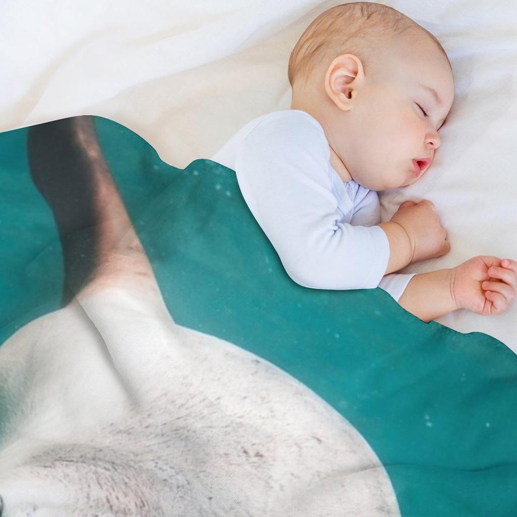 Seal Throw Blanket Ultra Soft Flannel Fleece Blanket For All Seasons
