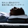 Brain Sleep Pillow Portable [BRAIN SLEEP]