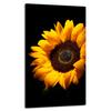 GLASS PLATE BOARD PANEL TABLETOP 30x52 FLOWER
