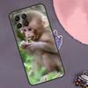 Cute Baby Monkey Animal Case For Samsung Galaxy M13 M33 M53 M20 M30s M31s M12 M32 M52 M11 M21 M51 M14 M34 M54 M55