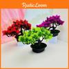 The Pine Greeting Guests Plastic Bonsai For Patio Garden Indoor Living Space