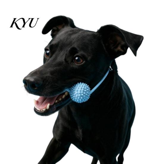 Bissfester Hundekauartikel Kauspielzeug, Zahnpflege-Werkzeug mit verstellbarem Riemen, Silikon Hund Klein Mittel Groß Spielzeug Zahnstütze, für Hundezahnfleisch