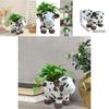 Adorable Modern Simple Cow Resin Succulent Planter Pot For Indoor And Outdoor Decor