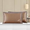 Summer Cool Rattan Pillow Mat & Pillowcase Set - Ice Silk Bamboo, Pair for Adults