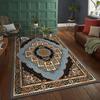 Vintage Persian Carpet for Living Room Decoration Rugs for Bedroom Decor Carpets Home Thicken Floor Mats Washable Rug